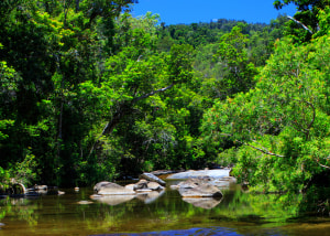 Coca-Cola Australia Foundation announces environmental grant