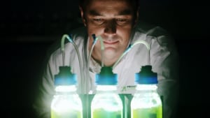 Provectus Algae, CJ BIO sign investment deal