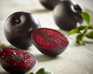 Speciality plums enter stores from Australia Day