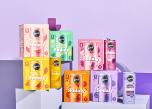 Remedy Drinks Sodaly soft drink solution