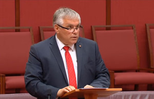 Angel Flight Disallowance defeated in the Senate