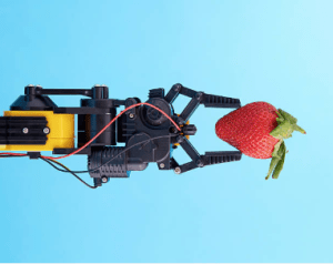 Future Food accelerating food and agriculture initiatives