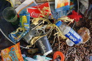 Boomerang Alliance calls for ban on takeaway plastics