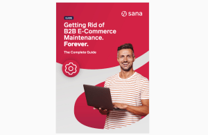 Sana Commerce releases B2B maintenance guide