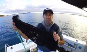 How to use a scaling bag (video)