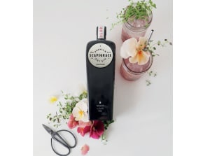 Rogue Society rebrands due to naming issue