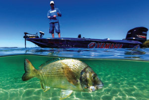 Gettin' crabby: How to use crab lures for bream