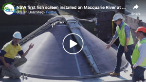 VIDEO: NSW's first fish screen installed on Macquarie River