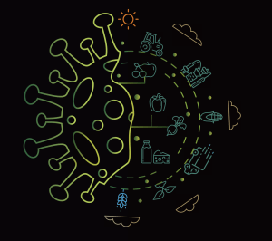 Vulnerabilities COVID-19 has exposed in the global food system
