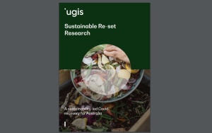 Report, scale of food waste still not understood