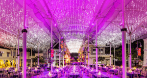 Stars of collision repair to be celebrated at Movie World