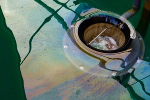 Seabin steps up plastic fight in Sydney’s waterways