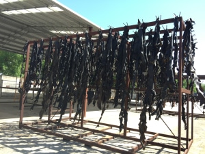 The third wave of marine industry