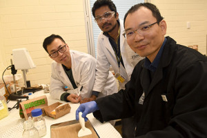 Seaweed-biomaterials for fast-food pack coatings