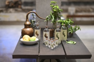 Distilled non-alcoholic spirits brand graces Sydney's top shelves