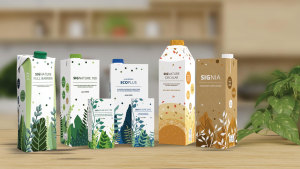  Taking stock of sustainability