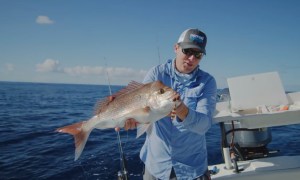 VIDEO: How to catch snapper slow jigging