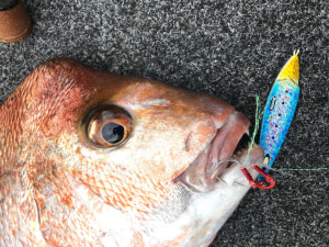 Berkley Skid Jig review