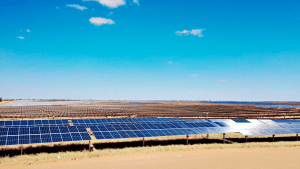 Mars Food Australia moves to 100% renewables