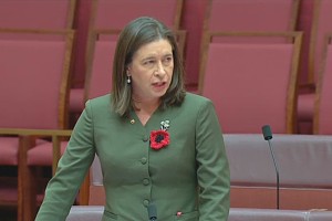 Senate to launch Two-year Inquiry into CASA and GA