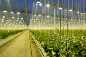 CBA launches green asset finance