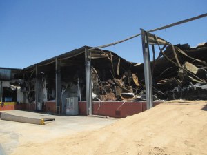 Bacon factory rises from the ashes