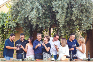 Sale of McWilliam's Wines splits company in two 