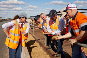 Coles, DSM launch methane reduction trial