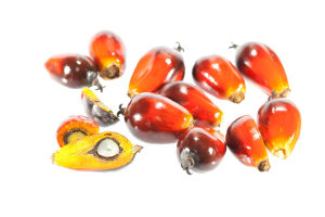 Indonesia stuns markets with ban on palm oil exports