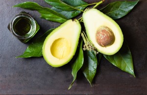 Avocado over-supply pushes need for export 