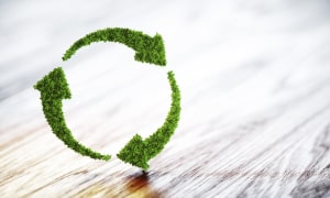 Understanding carbon neutrality