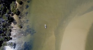 VIDEO: Wildkey &ndash; Monster South Coast flathead lost 