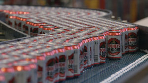 Lion: Leader of the pack