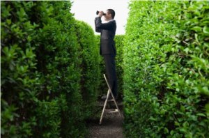 Federal grants worth $4m for food traceability