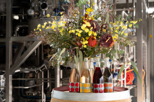 Treasury Wine Estates $15m NoLo commitment