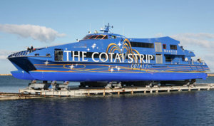 Austal profits down
