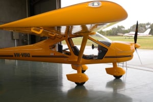 The Elephant in the Aeroplane