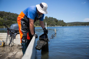 NSW govt invests $7.4m into South Coast aquaculture projects