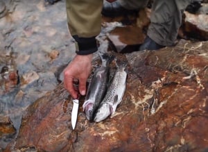 VIDEO: Wildkey &ndash; Camping and fishing with my daughters