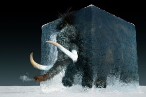 Vow puts mammoth meatballs on the menu