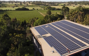 Hill-Smith Family Estates, journey to carbon neutrality 