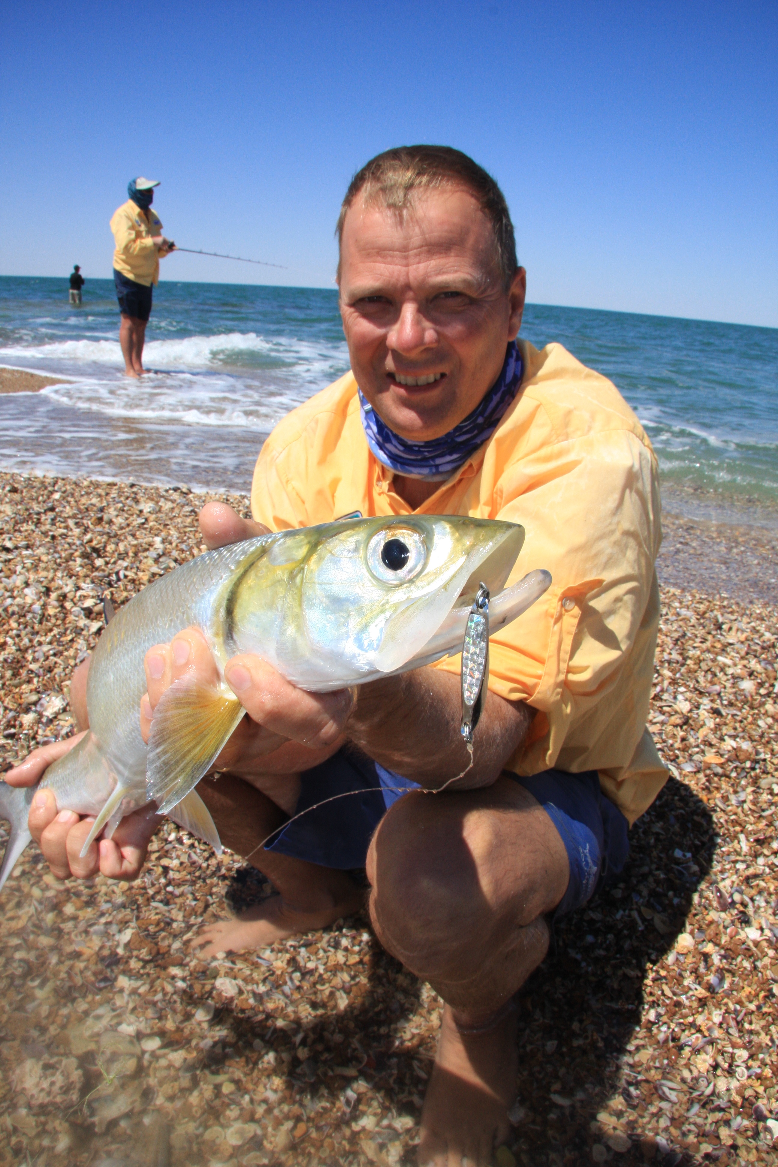 Fish Facts Giant Herring Fishing World
