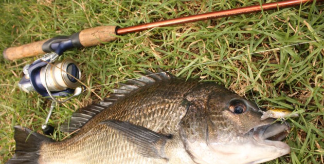 best bream rod