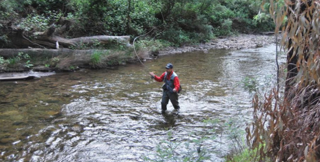 Victorian river trout season closing soon - Fishing World