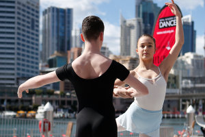 alt text for this image