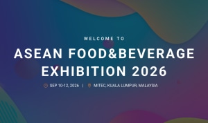 alt text for this image