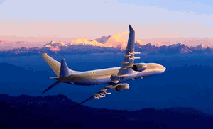 The Indian Navy will add 12 more Boeing P-8Is for offshore surveillance and protection of the Indian waters.