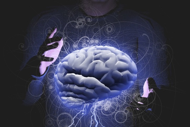 Scientist have identified a brain circuit for creativity