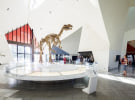 National Museum of Australia's media account goes to pitch