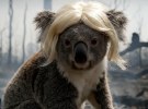 A koala in a blond wig launches a campaign that gives back